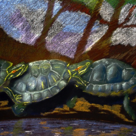 Turtle Conga Line
19x25.5